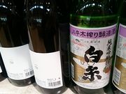 񂿂񂳂̔𑢂̓eʐ^1