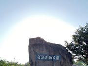 Sakura̒ÕʎR^̓eʐ^2