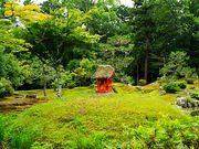 �˂�����񂳂�̕����Ђ̓��e�ʐ^5