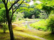 �˂�����񂳂�̕����Ђ̓��e�ʐ^6