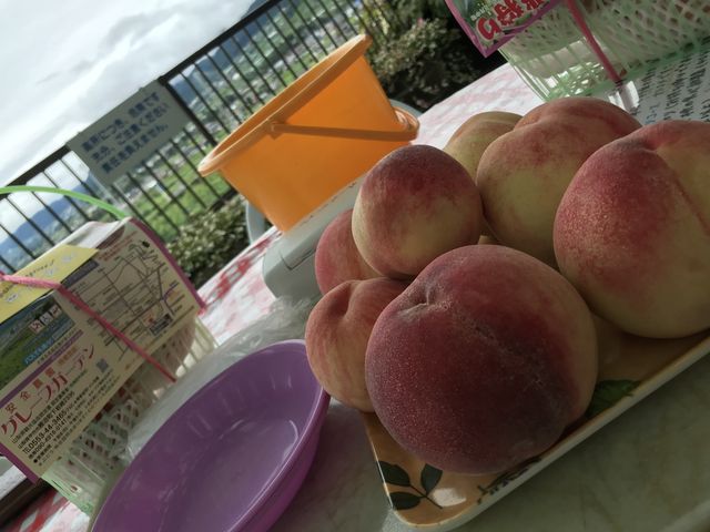 Hו̂悭₦A~ňiF𒭂߂Ȃ璸܂B_O[vK[fS_