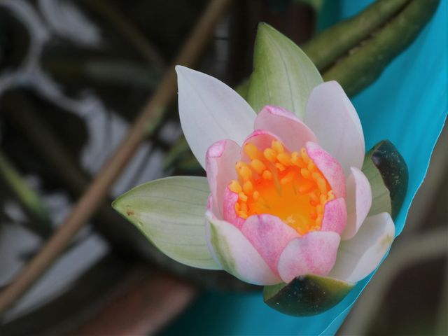 Ƃ񂳂̓̉w Ԗɂ̓eʐ^3