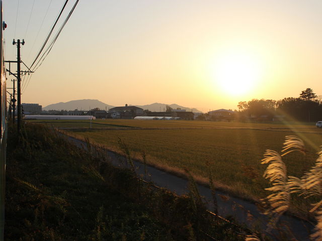 �c���̒����̂ǂ��ɑ���܂�_�ߍ]�S���������