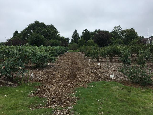 ���n�ꏊ�̗l�q_���ʂ���ӂ��[��