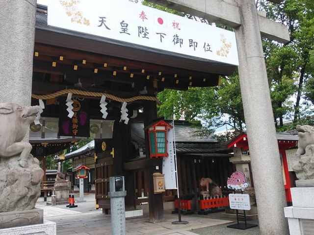 �O��_�쉤�_��