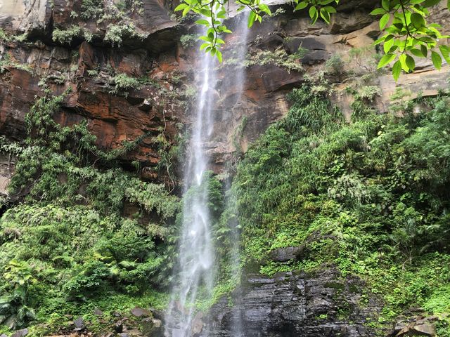 �s�i�C�T�[���̑�_���\�������X�[��