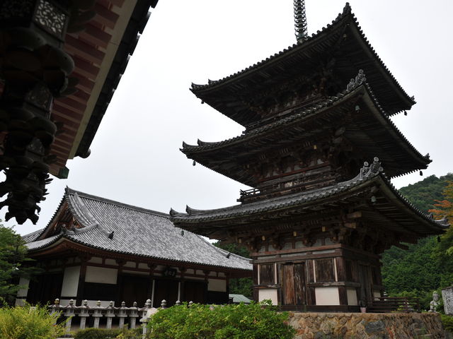 �O�d�������т����⎛�̒��S�I�ȃG���A_�ٍ㎛�O�d��