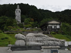 �����̂�������ٍ̒㎛�埸�ϐΑ��ւ̓��e�ʐ^1