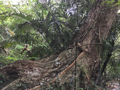 Ƃ܂Ƃ܂̐\X[ւ̓eʐ^2