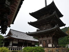 �����̂�������ٍ̒㎛�O�d���ւ̓��e�ʐ^1