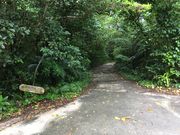 �Ƃ܂Ƃ܂���̓앗���c�̕l�̓��e�ʐ^1