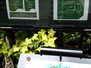 ǂ܂邳̃Xg AVGbg tX̓eʐ^3