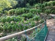 Xkv̂ƂƂAWTC̓eʐ^1