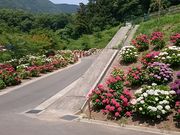 Xkv̂ƂƂAWTC̓eʐ^2