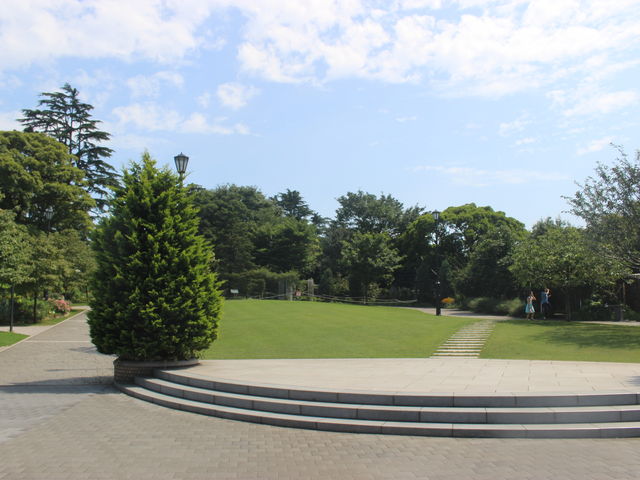 �����̕��i_�A�����J�R����