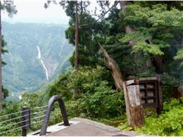 �u�̖���v_�̖���