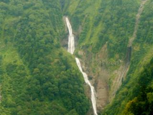 �u�̖���v_�̖���