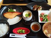 ܂ڂ񂳂̓̉w Í`̗܂Ƃ̓eʐ^1