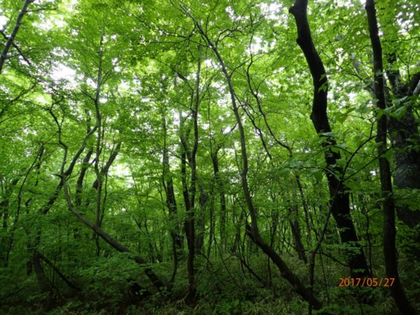 和歌山の自然景観 絶景ランキングtop10 じゃらんnet 和歌山の自然景観 絶景ランキングtop10 じゃらんnet