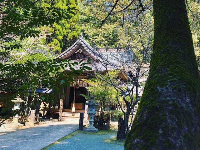 �����̕��͋C�B
�Z�~�̖������A�����ɋ����Ă���_�F�ԋ{