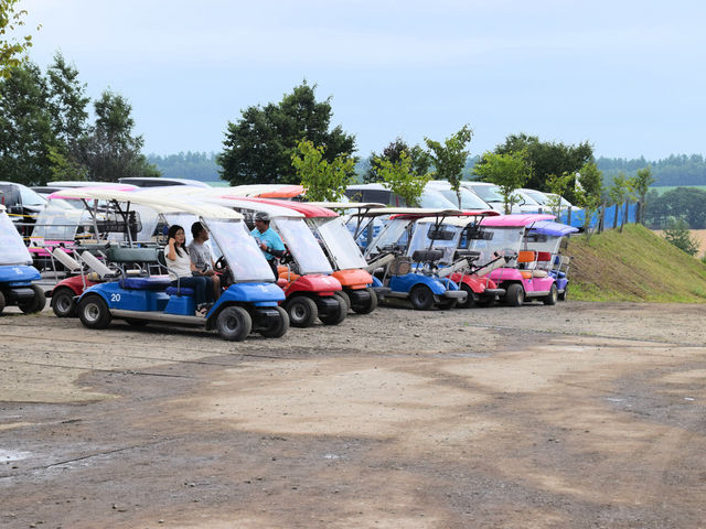 ����҂ɂƂ��ėL��J�[�g_�l�G�ʂ̋u