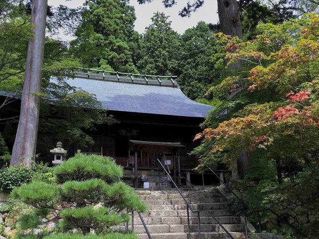 �H�ɂ͑f���炵���i�F�ł��傤�B_�嚠��