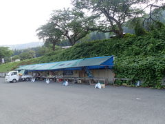 }Cann̏H̋{򋽂ւ̓eʐ^1