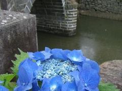 񂳂̒dCOi̘Hʓdԁjւ̓eʐ^1