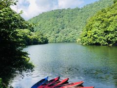 ˂̂ʁ` ݂Ȃ݃Jk[.comւ̓eʐ^1