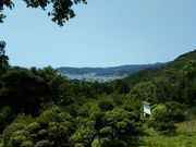 ��������񂳂�̊�����Ղ̓��e�ʐ^2