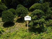 ��������񂳂�̊�����Ղ̓��e�ʐ^3