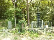 ��������񂳂�̊�����Ղ̓��e�ʐ^4