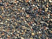 �䂫���肳��̐�ނ��邩�l�����̓��e�ʐ^1