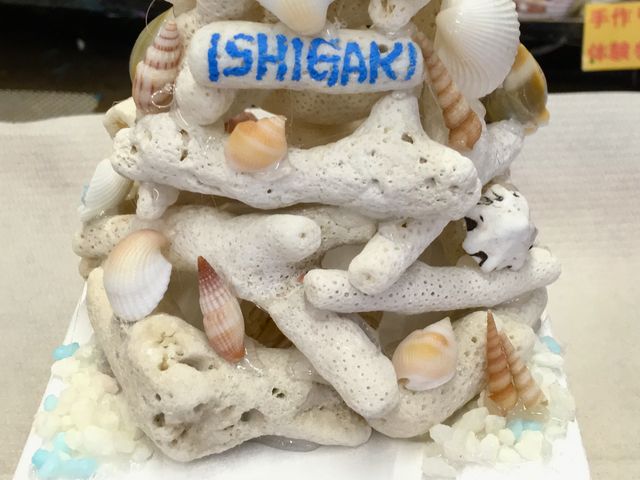 �����v���_�����܂Ԃ�[�@�G�݂Ǝ���H�[