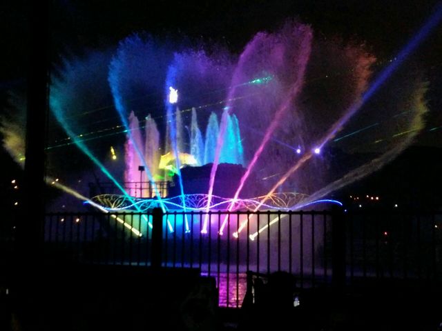 �������Ɋ����I_�����f�B�Y�j�[�V�[(R)