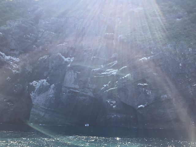 ���A���͂��Ђ����g�̖ڂŁI��O�̊������z�ɏƂ炳��Đ_�X�����ꖇ�ł��B_�̓��A���M�N���[�W���O�v�����}����