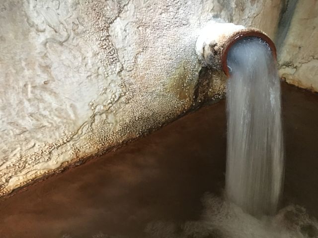 �����̐����̔Z���ŗ����ɒY�_�J���V�E���̐͏o�����B_�ʗ���������