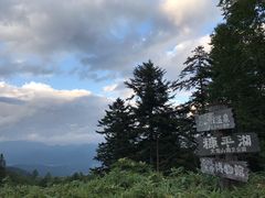 �k�P�Ă郉�C�_�[����̍f���΁i�̌��ό��j�ւ̓��e�ʐ^1