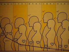 ���^�{�剤����̏\�����s�����قւ̓��e�ʐ^1