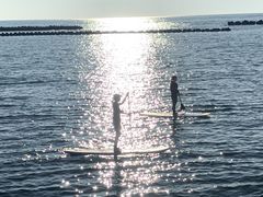 ݂̐ɓrto^jVCYTbvւ̓eʐ^1