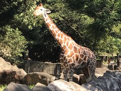 sadi13����̉��l�s�����򓮕����ւ̓��e�ʐ^1