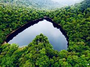 abeshinservice̖L΂̓eʐ^2