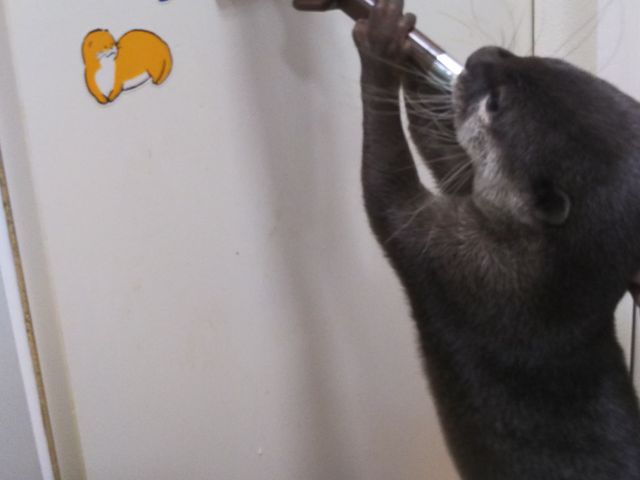 RcJE\ ⋋B_RcCgr܃TVCX