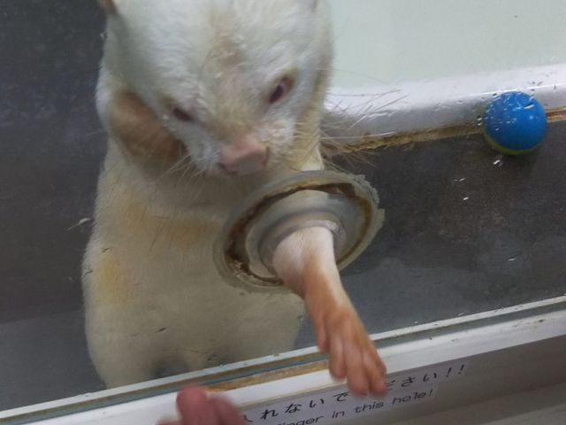 Arm̃RcJE\c˂蒆B_RcCgr܃TVCX