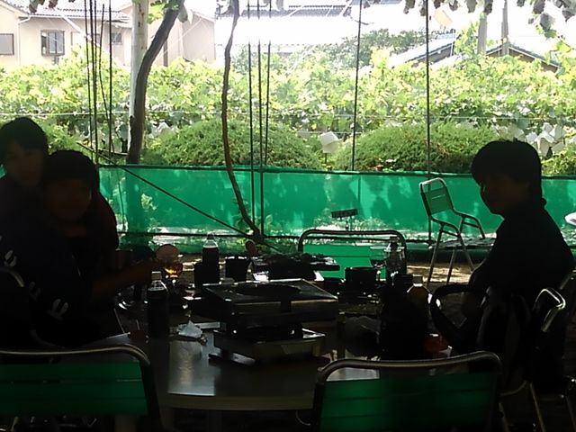 ԂǂỈŁ@ҏEJVłyaapI_HƂԂǂ@ÎiRWGj