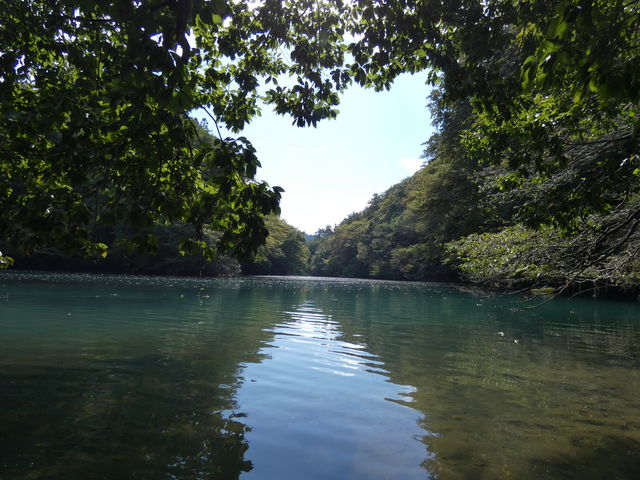 �_���Ζ؁X�̍����M���M������B����Ȉʒu����B���̂̓p�b�N���t�g�Ȃ�ł́B_�����h���b�v�@�A�E�g�h�A�K�C�h�T�[�r�X