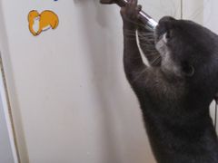 �R�c���C�g�r�܃T���V���C���X�̎ʐ^1