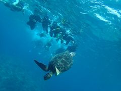 ܂ɂႳ̃JCU[}Nuւ̓eʐ^1