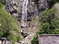 jC`̔R싽zCg[hւ̓eʐ^1