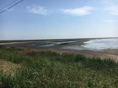 ike55jp̖tlC`[Z^[ւ̓eʐ^1